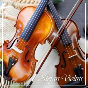 스테판 바이올린스 입문용 연습용 바이올린 SVN-100