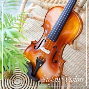 스테판 바이올린스 입문용 연습용 바이올린 SVN-100