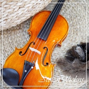 스테판 바이올린스 입문용 연습용 바이올린 SVN-130